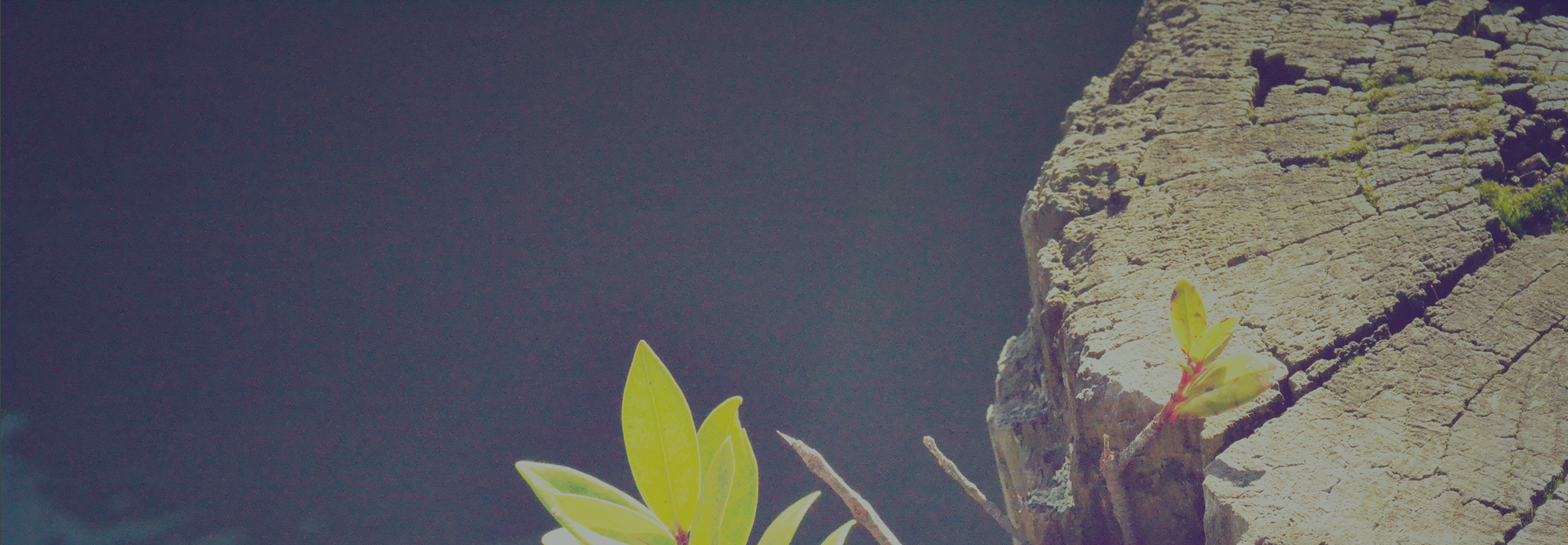 background-construcción